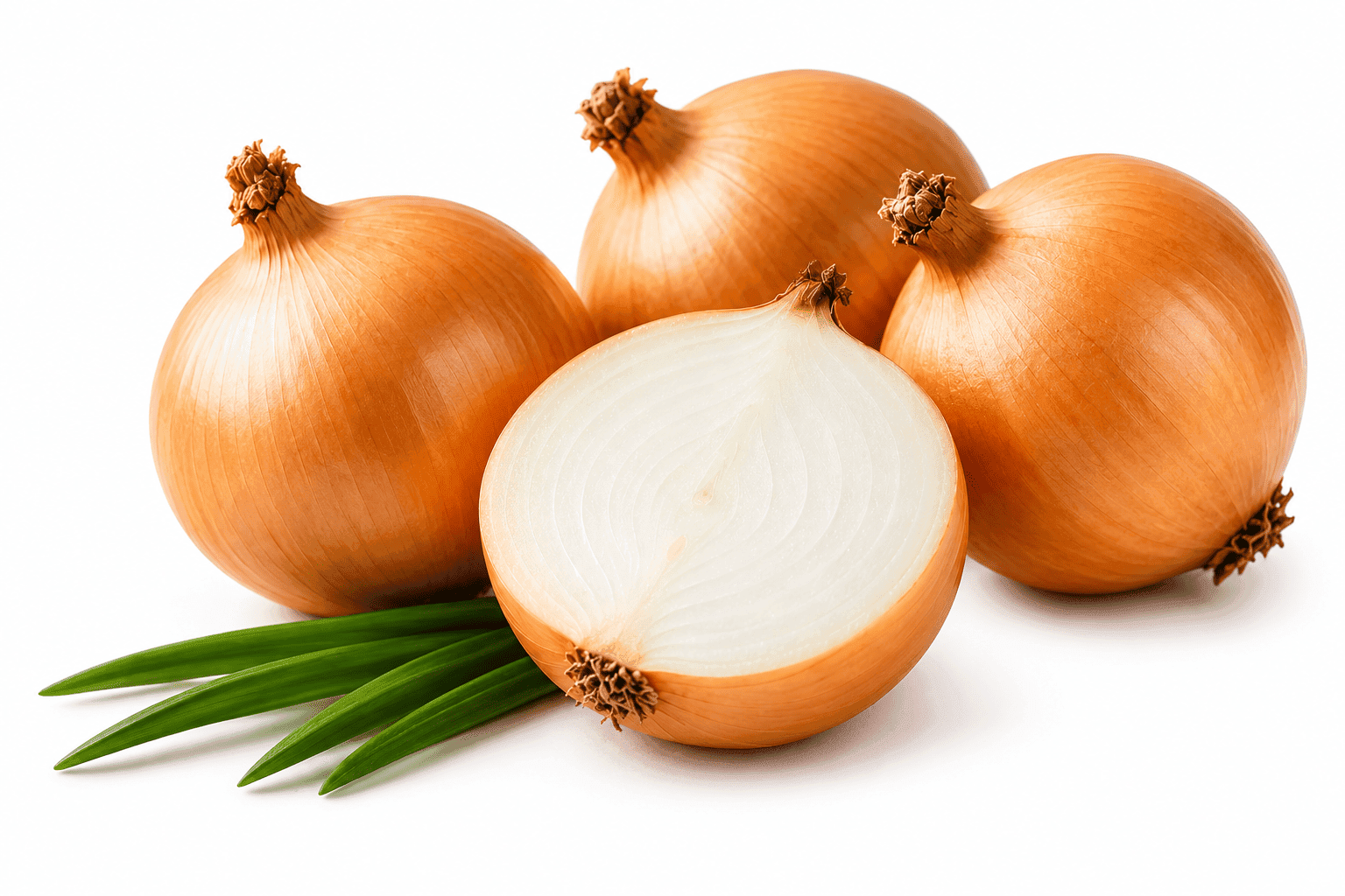 Yellow onion quotation