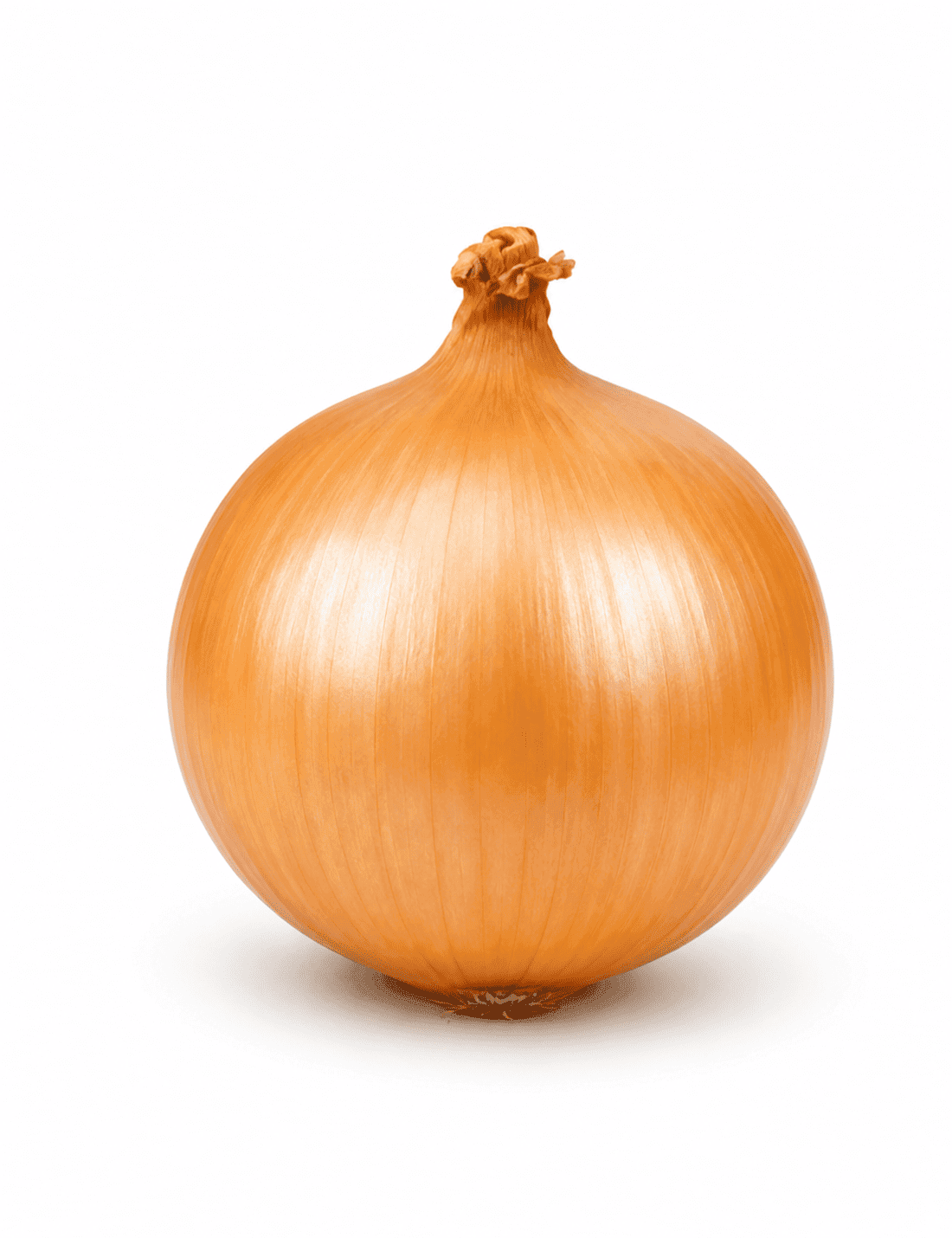 Small Size yellow onion