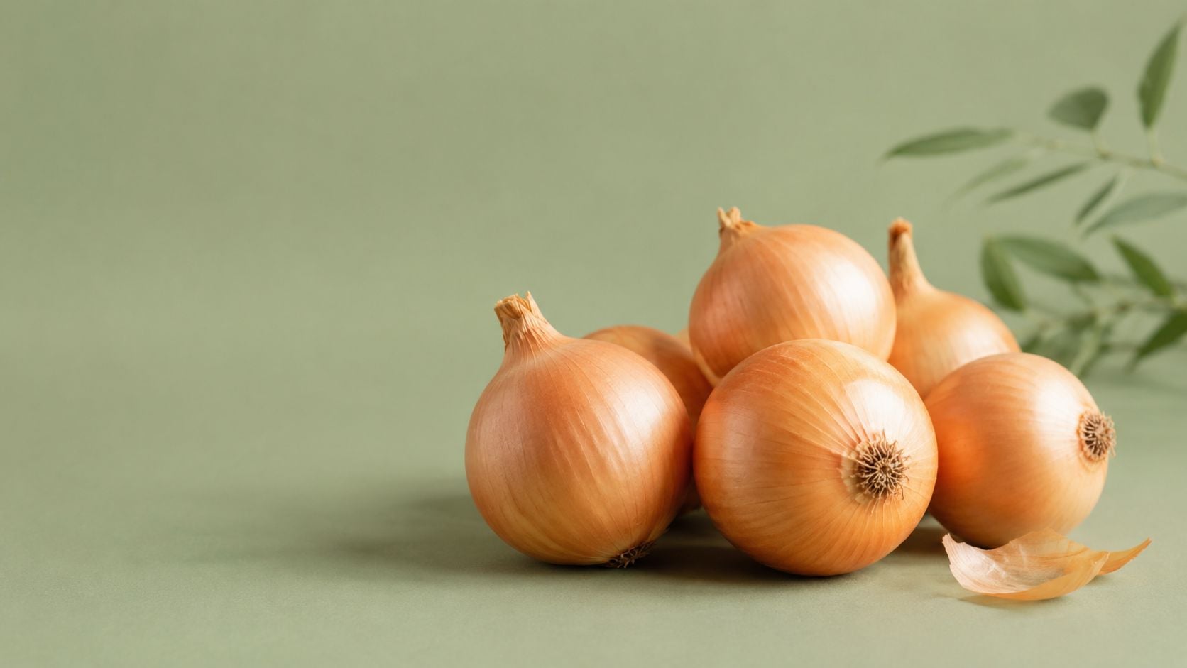 onion 