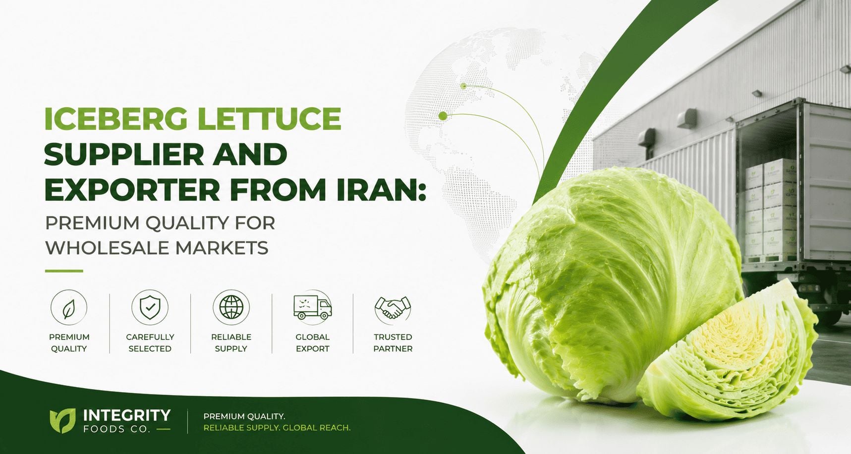 Iceberg Lettuce Supplier and Exporter from Iran: Premium Quality for Wholesale Markets