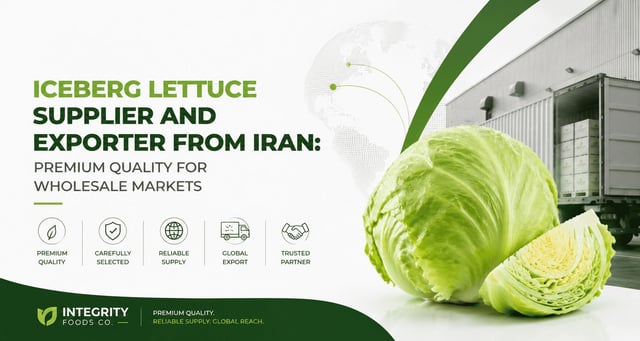 Iceberg Lettuce Supplier and Exporter from Iran: Premium Quality for Wholesale Markets