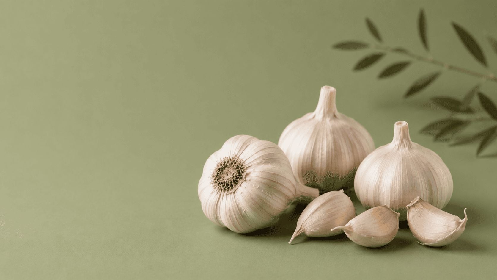 garlic