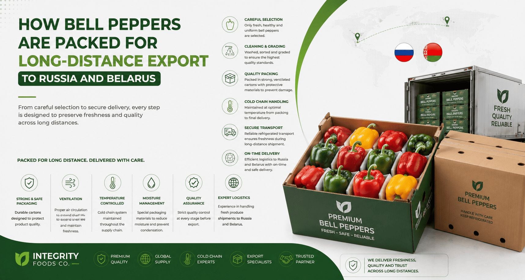 How Bell Peppers Are Packed for Long-Distance Export to Russia and Belarus banner