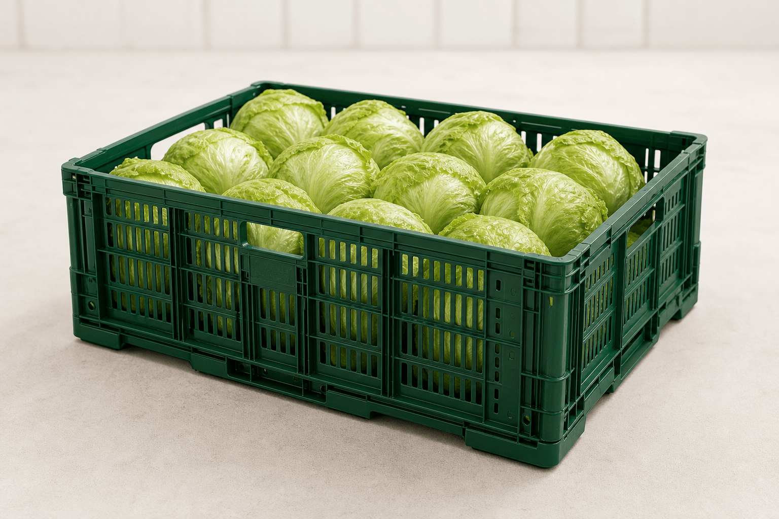Large plastic crates